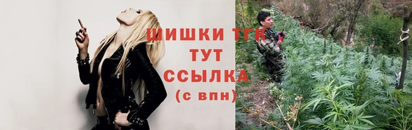 мет Инта