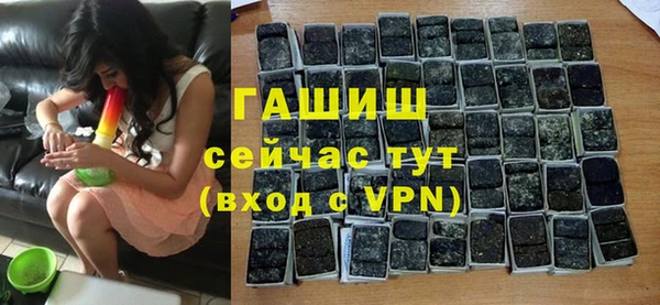 мет Инта