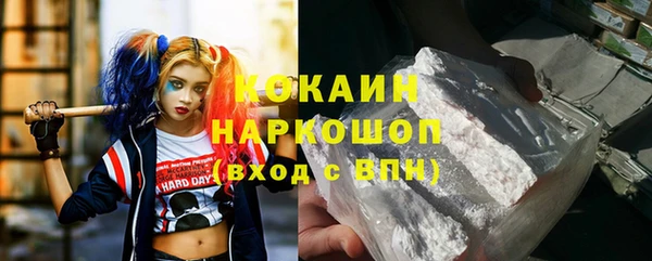 мет Инта
